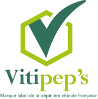 logo Vitipep's