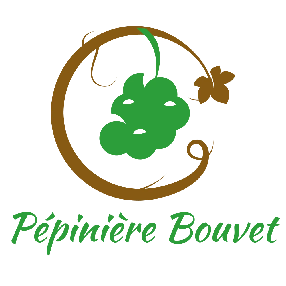 logo Pépinière Bouvet (1webp